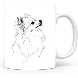 Dwergspits / Pomeriaan Kleinspitz