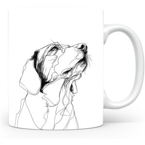 Montenegrijnse Berghond