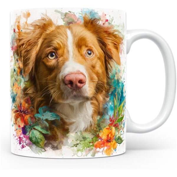 Nova Scotia Duck Tolling Retriever