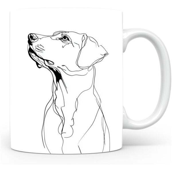 Montenegrijnse Berghond