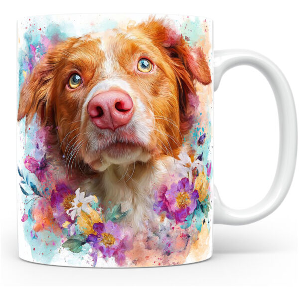 Nova Scotia Duck Tolling Retriever