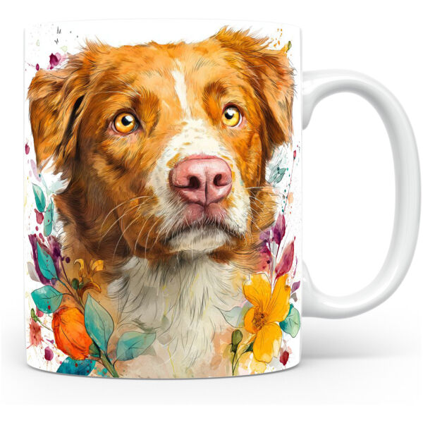 Nova Scotia Duck Tolling Retriever