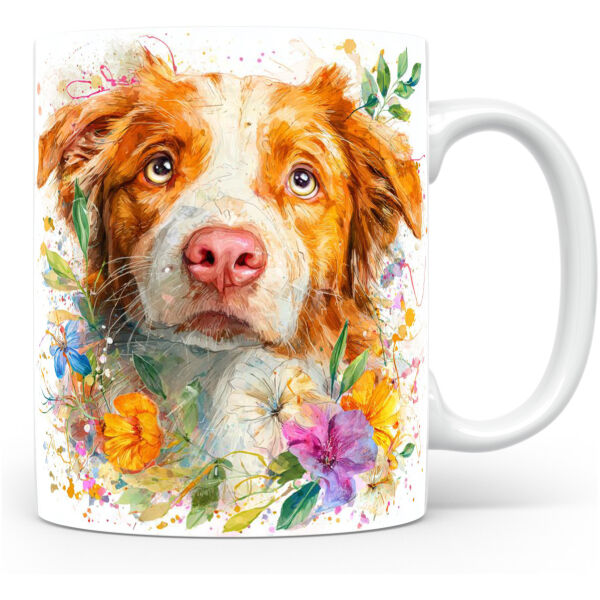 Nova Scotia Duck Tolling Retriever