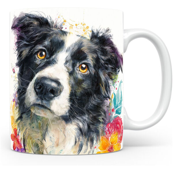 Beker Border Collie Border Collie