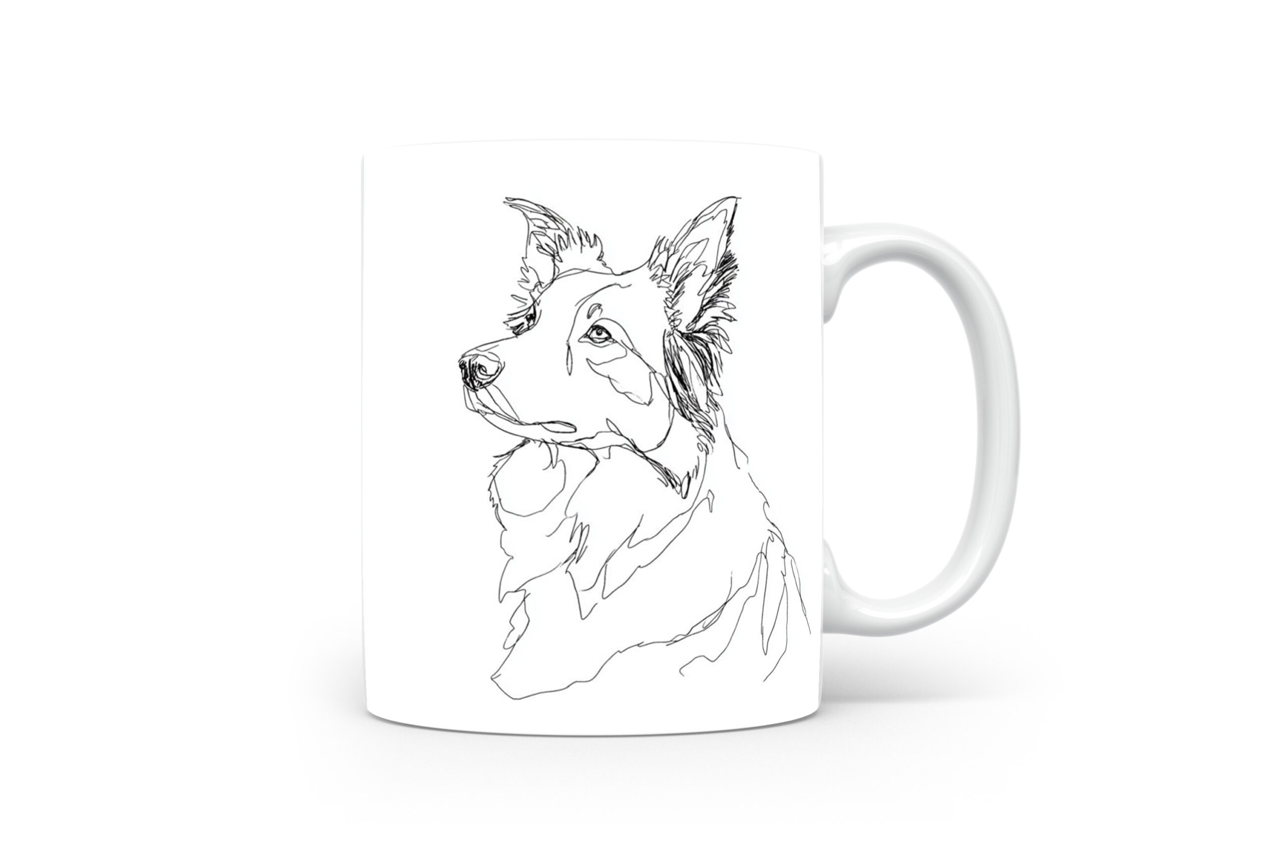 Beker Border Collie Border Collie