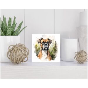 Tegel 15x15 cm Boxer