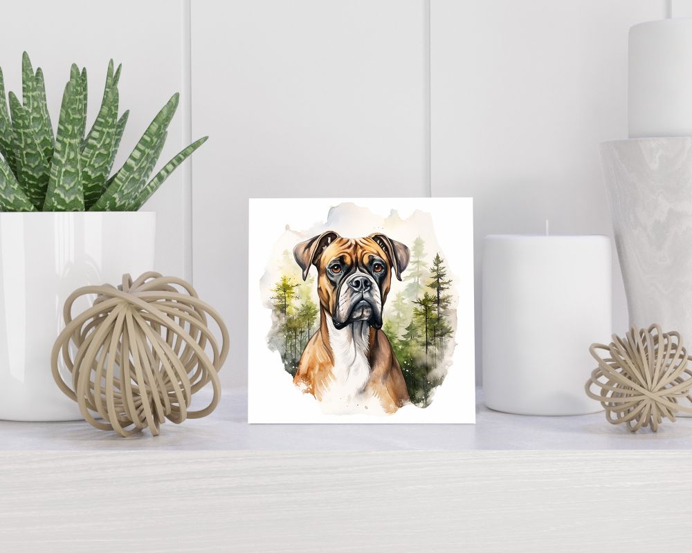 Tegel 15x15 cm Boxer