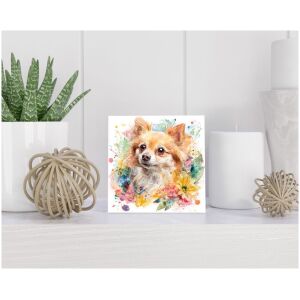 Tegel 15x15 cm Pomeranian