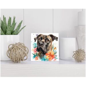 Tegel 15x15 cm Presa Canario