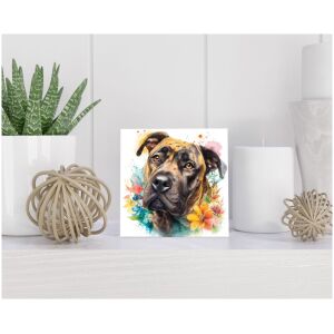Tegel 15x15 cm Presa Canario
