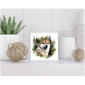 Tegel 15x15 cm Akita