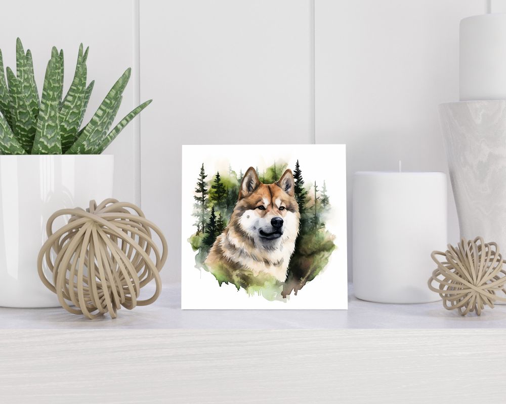 Tegel 15x15 cm Akita