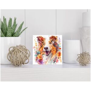 Tegel 15x15 cm Langharige Collie