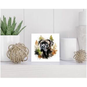 Tegel 15x15 cm Cane Corso