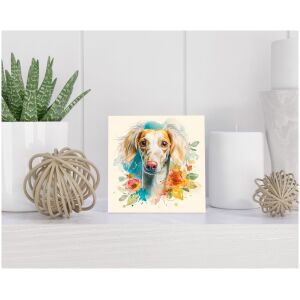 Tegel 15x15 cm Saluki