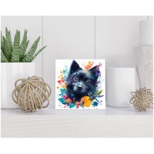 Tegel 15x15 cm Schipperke