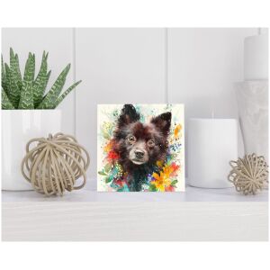 Tegel 15x15 cm Schipperke