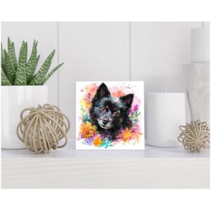 Tegel 15x15 cm Schipperke