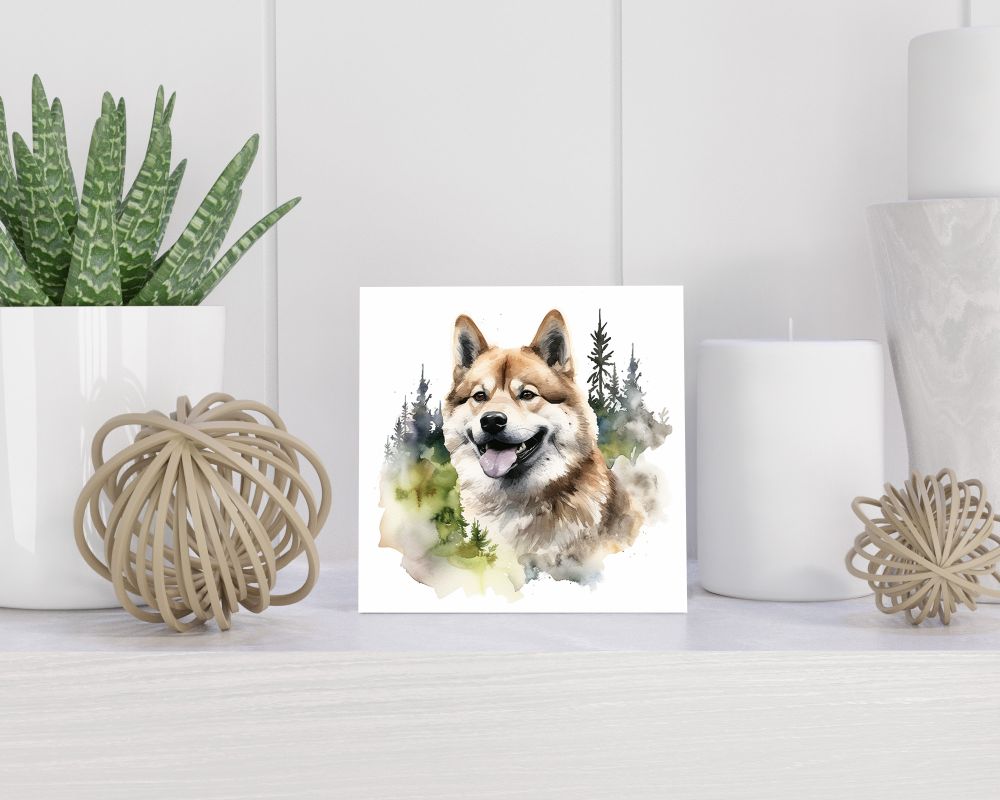 Tegel 15x15 cm Akita