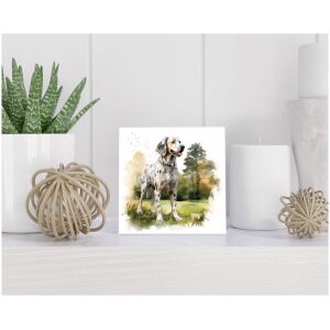 Tegel 15x15 cm Engelse Setter