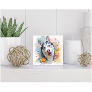 Tegel 15x15 cm Siberian Husky