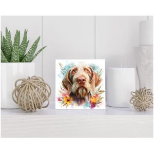 Tegel 15x15 cm Spinone Italiano