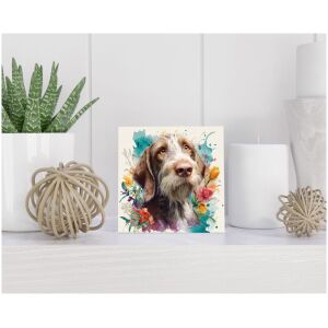 Tegel 15x15 cm Spinone Italiano