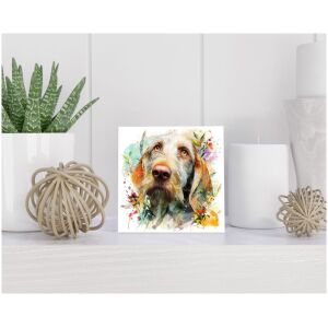 Tegel 15x15 cm Spinone Italiano