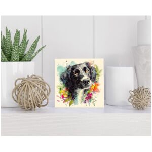 Tegel 15x15 cm Stabyhoun