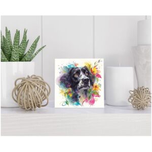 Tegel 15x15 cm Stabyhoun