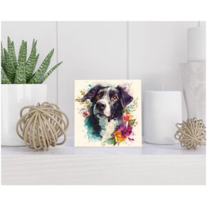 Tegel 15x15 cm Stabyhoun