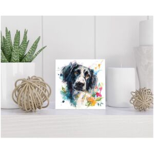 Tegel 15x15 cm Stabyhoun