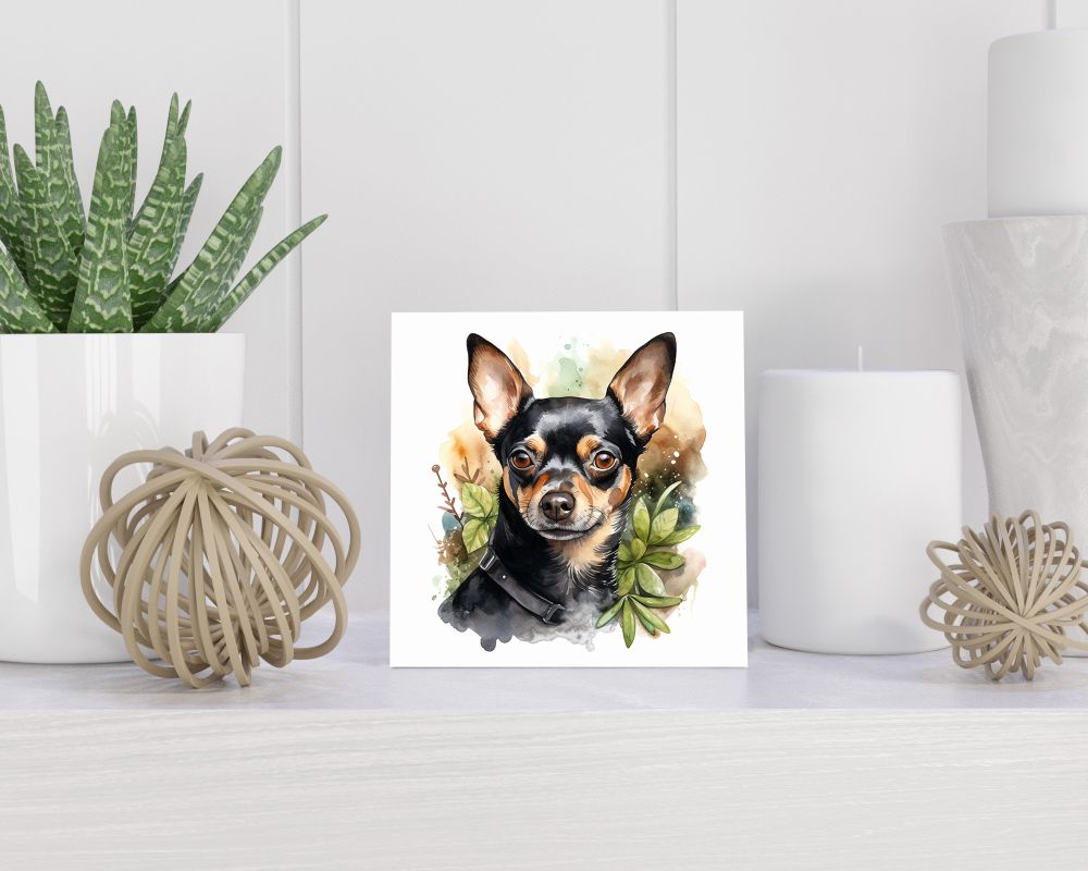 Tegel 15x15 cm Chihuahua Kortharig