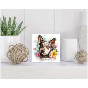 Tegel 15x15 cm Swedish Vallhund