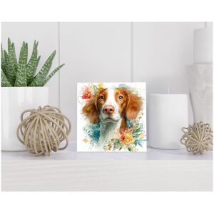 Tegel 15x15 cm Welsh Springer Spaniel