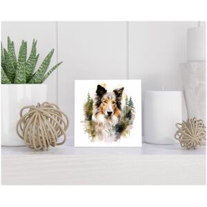 Tegel 15x15 cm Schotse Collie