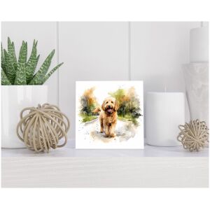 Tegel 15x15 cm Goldendoodle