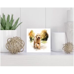 Tegel 15x15 cm Goldendoodle