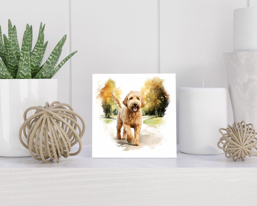 Tegel 15x15 cm Goldendoodle
