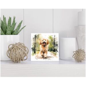 Tegel 15x15 cm Goldendoodle