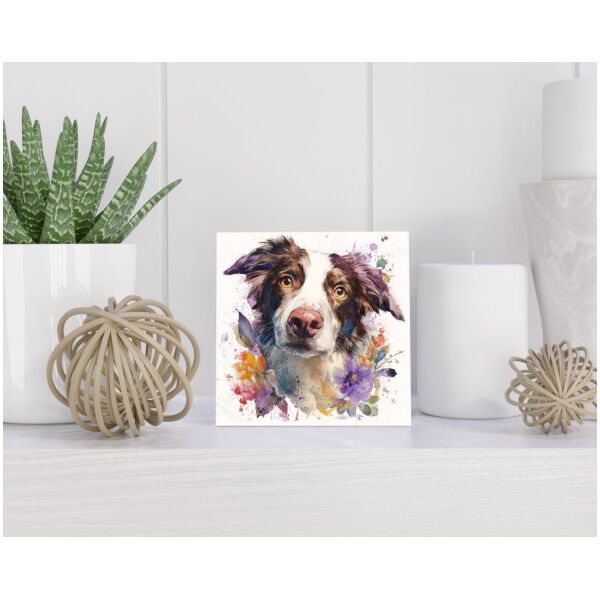 Tegel 15x15 cm Border Collie
