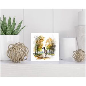 Tegel 15x15 cm Greyhound