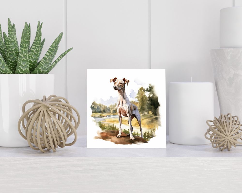 Tegel 15x15 cm Italiaanse Windhond