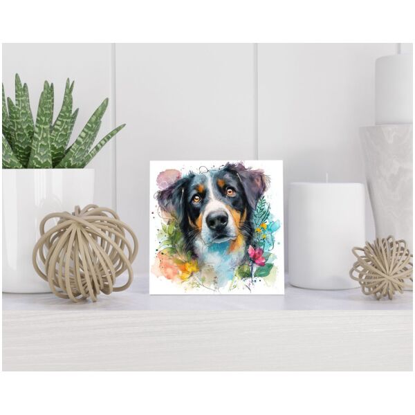 Tegel 15x15 cm Appenzeller Sennenhond