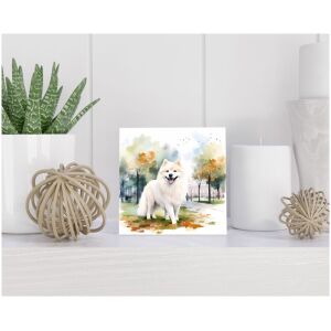 Tegel 15x15 cm Japanse Spits