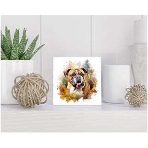 Tegel 15x15 cm Engelse Bulldog