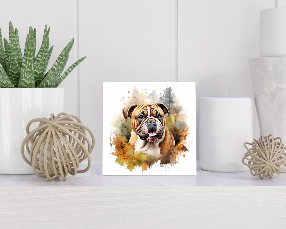 Tegel 15x15 cm Engelse Bulldog