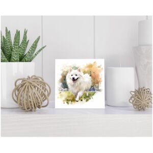 Tegel 15x15 cm Japanse Spits