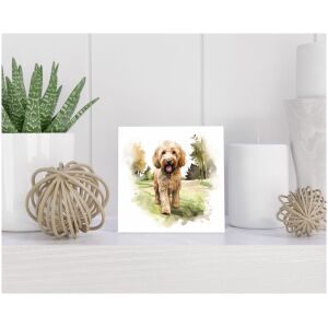 Tegel 15x15 cm Labradoodle