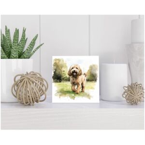 Tegel 15x15 cm Labradoodle